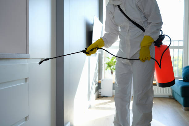 Best Mold Testing  in Citrus Park, FL